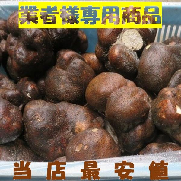 値下げ 業者様専用 最安値 石川県 加賀 丸いも ワケあり 小玉 10キロ 