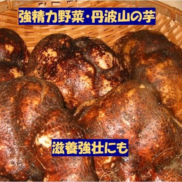 ※とれたて！令和７年産11月収穫の新芋です。☆丹波特産 山の芋(つくね芋)　優品2ｋｇ(約3個〜6個)形はゴツゴツ、デコボコも少し粘り段違いでお餅のような濃厚食感 、きめ細かさ保存の仕方で年中、旬の健康食材上用饅頭など京都高級和菓子原材料、...