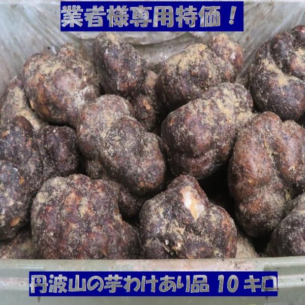 ※とれたて！令和７年産11月収穫の新芋です★丹波山の芋わけあり　10kg(25〜45個小玉)形、大きさはふぞろい業者様お届け専用 のワケあり特価品です(作業中パカッと割れて小さくなったり形が悪い、桑傷のあるもの等)切り口や桑キズには消石灰が...