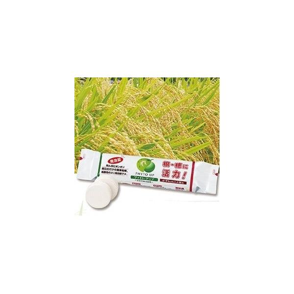 t@CgN[Ё@t@CgAbviāE񂱂pjA^ 50g×10@20(1P[X)