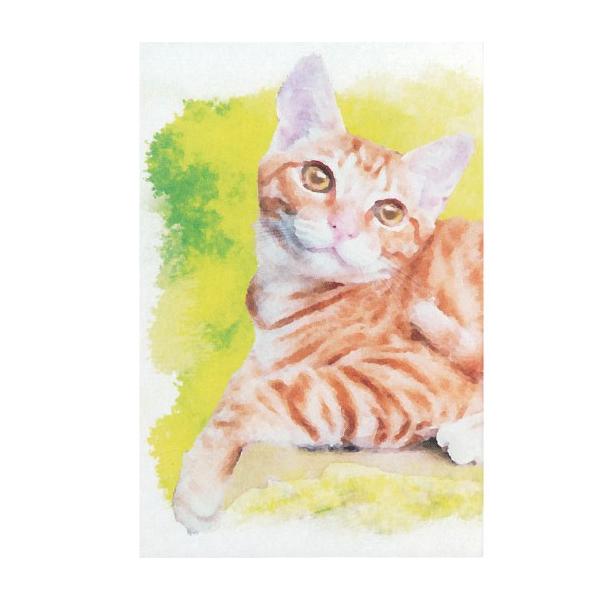 日本代購 Japanchill 日本代購轉運空運船運全球配送 奉書紙 膨らし加工オリジナルカジュアル御朱印帳 陽だまり猫水彩 Lサイズ18cm 12cm 48ページ ビニールカバー付 メール便送料無料 国産京都製ねこ