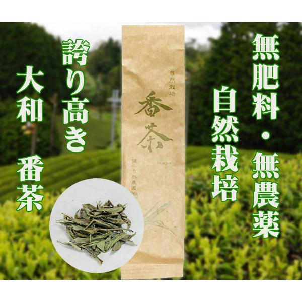 自然栽培 番茶 100g　奈良県産　誇り高き大和茶　無添加 無肥料 無農薬　蒸し緑茶製法で清らかに仕上げました　先人の知恵を引き継ぐ一杯