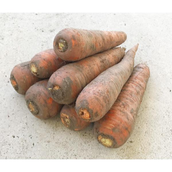 ※本数はその時の大きさによって前後します。農薬は使わず、肥料も土に施さず、太陽と雨の自然の恵みと、大地の持つ力を最大限に発揮させて作った、究極の自然栽培農法のにんじんです。生産者は北海道の秋場さんです。無肥料・無農薬での自然栽培の匠、父和也...