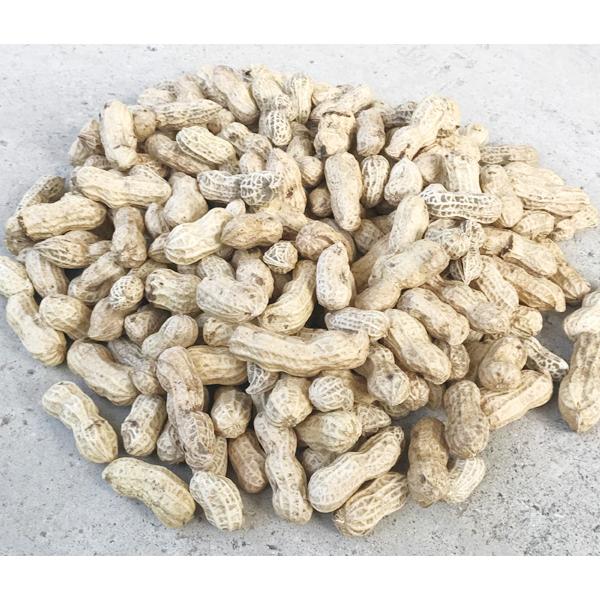 ※乾燥はしておりますが生ですので、表皮の汚れを洗い、茹でるか、煎るかしてからお召し上がりください。農薬も肥料も使わず、自然のあるがままに限りなく近い状態で育てられた落花生です。生産者は熊本県の豊永佐代子さん、本当に安心して食べられるものを作...