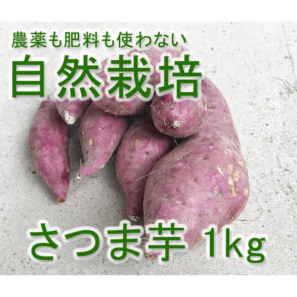自然栽培 さつま芋 小さめ 1kg 熊本県産 安心安全の無肥料 無農薬 長年 農薬も肥料も使わずに自然と共生する農法で野菜を作っています 究極の自然農法