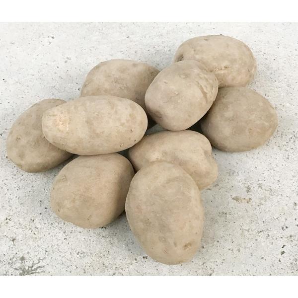 ※個数はその時の大きさにより変わります。※小さめ、直径4〜7cmくらい。農薬は使わず、肥料も施さず、手間ひまと愛情をこめて育てられた、究極の自然栽培農法のじゃがいもです。生産者は、北海道の自然栽培の哲人秀さんとも言われる父から、この究極の農...