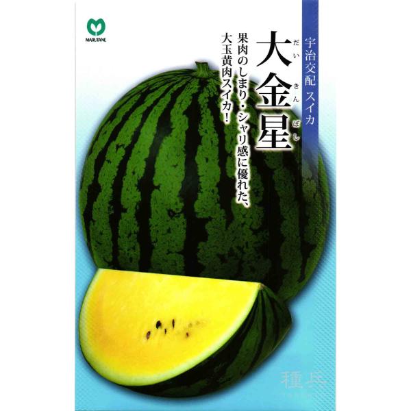 黄肉大玉スイカ 種 『大金星』 丸種/200粒