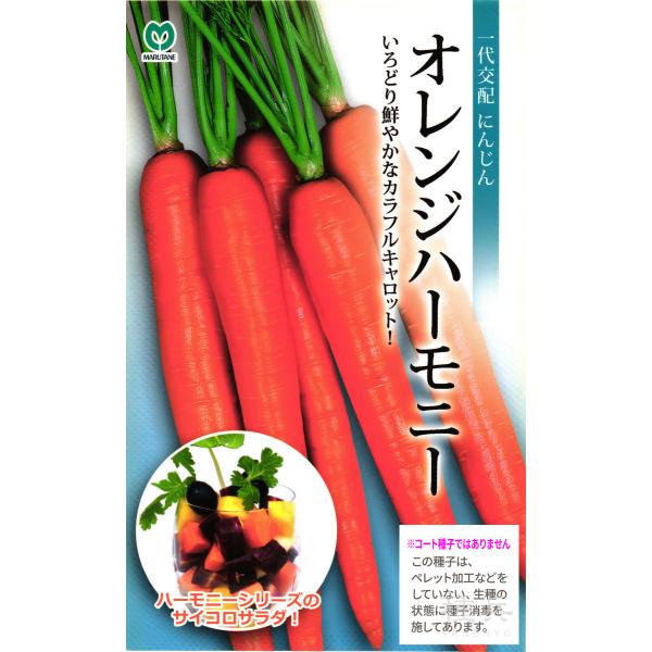 カラフルニンジン 種 『オレンジハーモニー』 丸種/1000粒 : 種兵