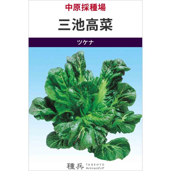 タカナ 種 『三池高菜』  中原採種場/Lコート5千粒