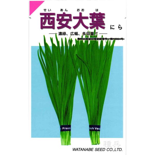 ニラ 種 『西安大葉』  渡辺採種場/小袋