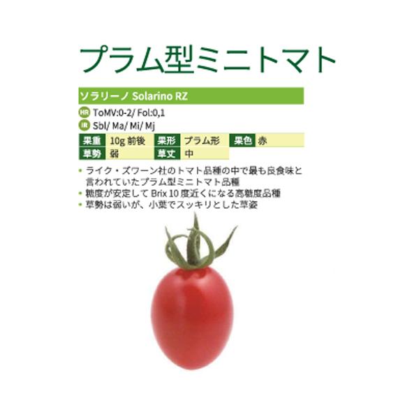 朝日アグリ ミニ トマト とまと ソラリーノ 1000粒 : 種苗・園芸