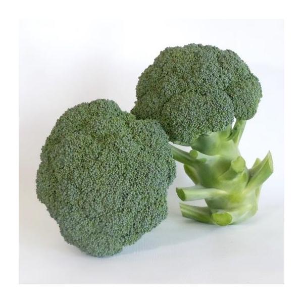 朝日アグリ ブロッコリー しき緑96号 2500粒 : 種苗・園芸ショップ 種