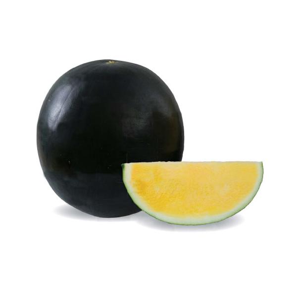 萩原農場 西瓜 スイカ すいか 大玉 サンダーボルト 200粒 : 種苗