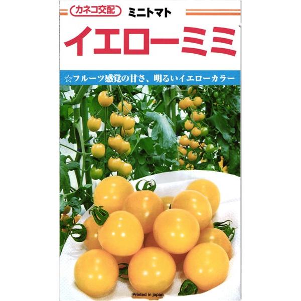 カネコ種苗 トマト イエローミミ 小袋 : 種苗・園芸ショップ 種もり