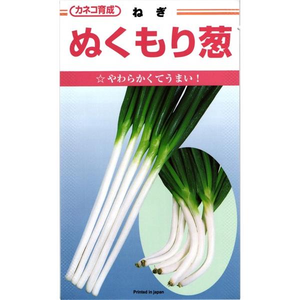 カネコ種苗 ネギ ぬくもり コート5000粒 : 種苗・園芸ショップ 種もり