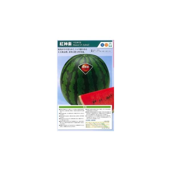 神田育種 スイカ すいか 西瓜 紅神楽 200粒 : 種苗・園芸ショップ 種