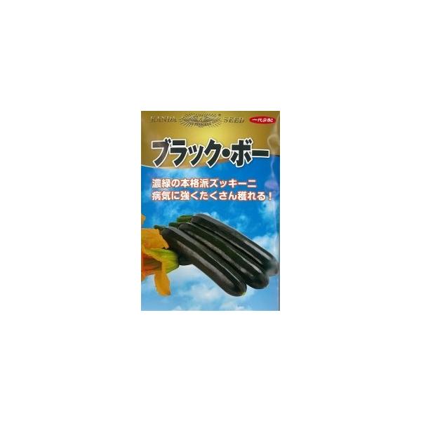 神田育種 ズッキーニ ブラック・ボー 100粒 : 種苗・園芸ショップ 種