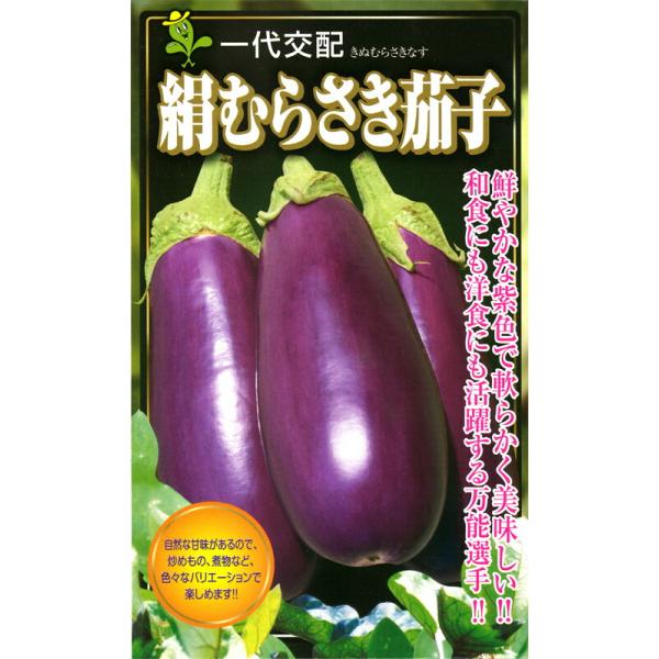 tanemori-netshop_kobayasi-0037