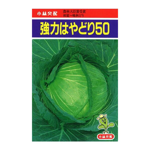 きゃべつん  たね 小林種苗 キャベツ きゃべつ 強力はやどり50 1dl : 種苗・園芸