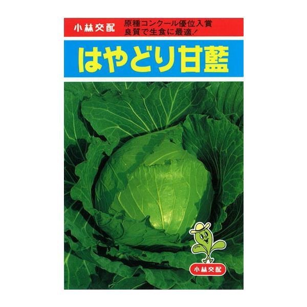きゃべつ様 たね 小林種苗 キャベツ きゃべつ はやどり 1dl : 種苗・園芸ショップ