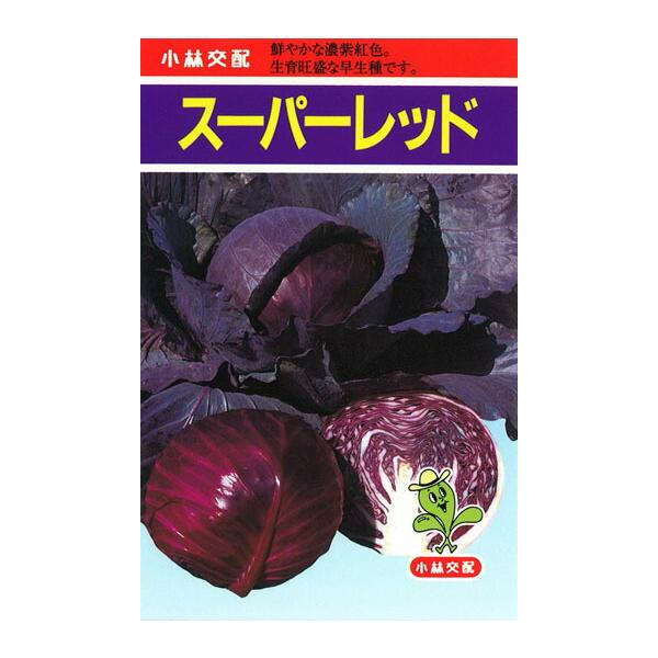 たね 小林種苗 キャベツ きゃべつ スーパーレッド 20ml : 種苗