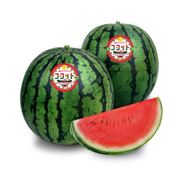 まるブドウ、スイカ tanemori-netshop_marutane-0877