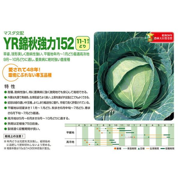 緑単キャベツ 夏野菜完全攻略TV【緑単キャベッジ】｜市川座名九郎