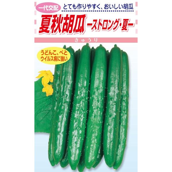 松永種苗 キュウリ 胡瓜 ストロング・夏 350粒 : 種苗・園芸ショップ