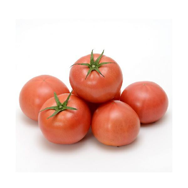 みかど協和 トマト ＴＹみそら109の魅力と栽培ポイント