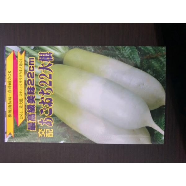 たね 長坂種苗園 だいこん ダイコン あごおち22大根 小袋 : 種苗・園芸