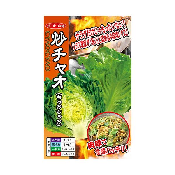 ナント種苗 レタス 炒チャオ(ちゃおちゃお)レタス 小袋