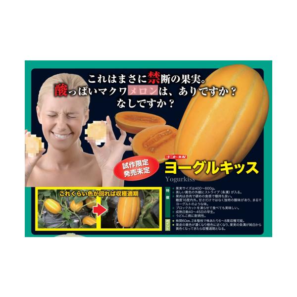 ナント種苗 メロン ヨーグルキッス 小袋 : 種苗・園芸ショップ 種もり