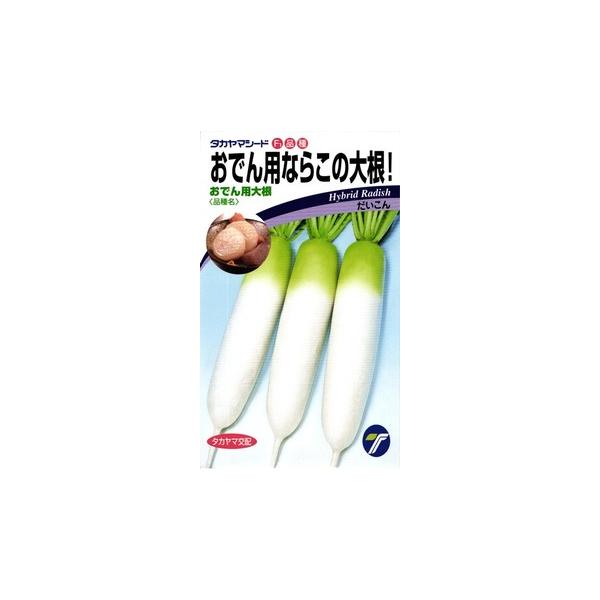 おでんのだいこん 中原採種場 ダイコン 大根 種YR早生おでん大根 小袋/イケダ