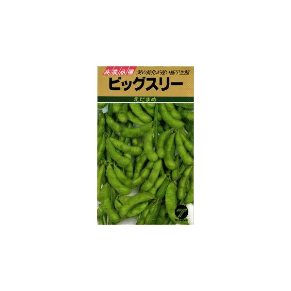 たね タカヤマシード エダマメ 枝豆 ビッグスリー 1L : 種苗・園芸