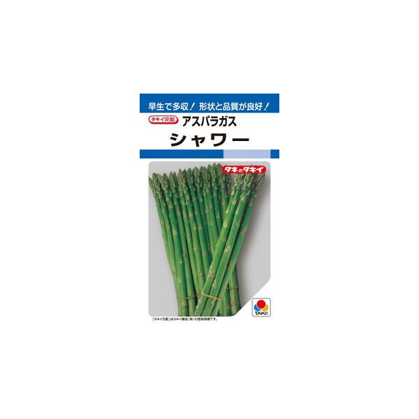 タキイ種苗 アスパラガス シャワー 20ml : 種苗・園芸ショップ 種もり