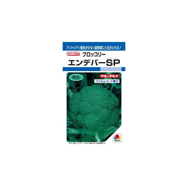 タキイ交配　エンデバーSP　ブロッコリー　ペレットL5000粒 ブロッコリー・エンデバーSP| 種・苗・ガーデニング用品の