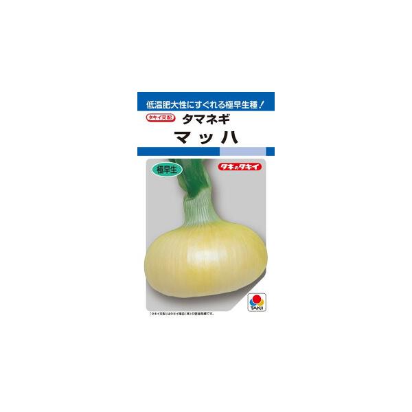 tanemori-netshop_takii-0738