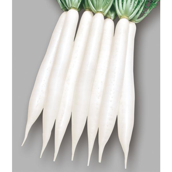 tanemori-netshop_takii-0787