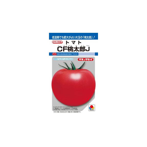 倉 蕃茄 トマト とまと タキイ交配 1000粒1センR 桃太郎ホープトマト 葉菜 倉 蕃茄 トマト とまと タキイ交配 1000粒1センR 桃太郎ホープトマト 葉菜