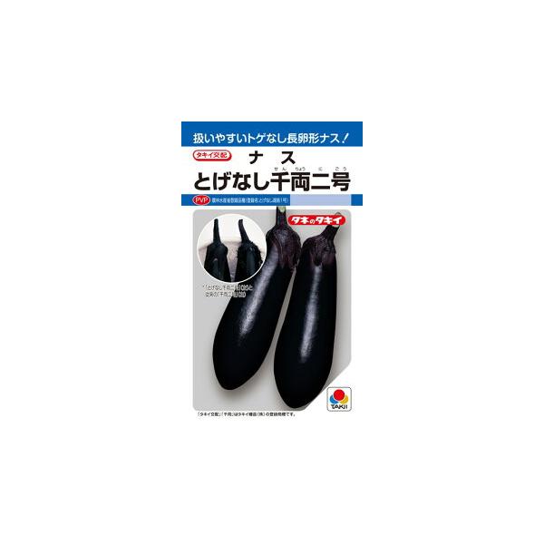 タキイ種苗 ナス 茄子 とげなし千両二号 DF PVP : 種苗・園芸ショップ