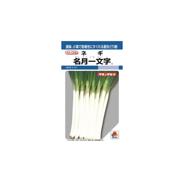 タキイ種苗 ネギ 葱 名月一文字 ペレット 2L 5000粒 : 種苗・園芸