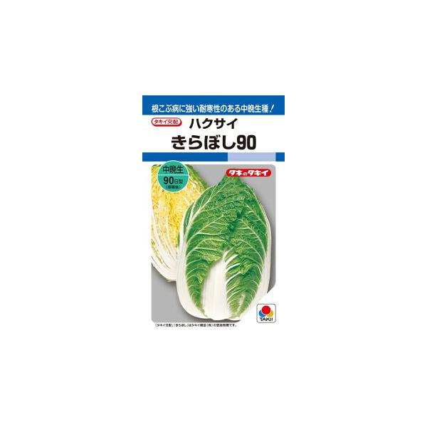 タキイ種苗 ハクサイ 白菜 きらぼし90 20ml : 種苗・園芸ショップ 種 