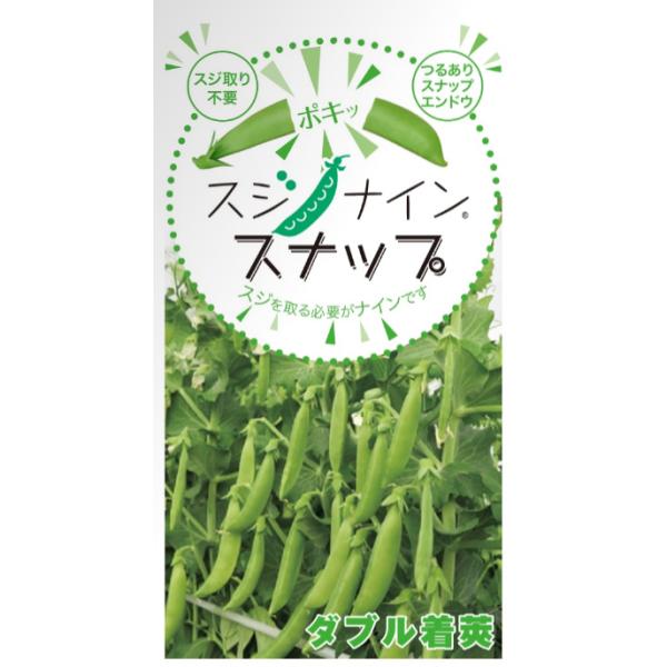 トキタ種苗  エンドウ 豌豆 白花スジなし　スジナインスナップ　2000粒