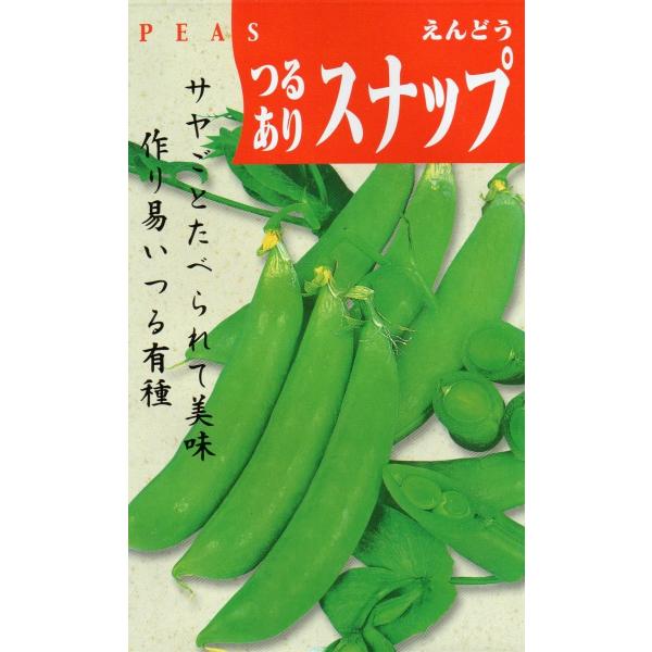 エンドウ つるありスナップ 小袋 30ml入り 郵便発送商品 :0400000009315:タネのノザキ ヤフー店 通販 スナップエンドウ 種 たね サラダスナップ豌豆 1袋(30ml) えんどう豆 豌豆 野菜たね YTC75