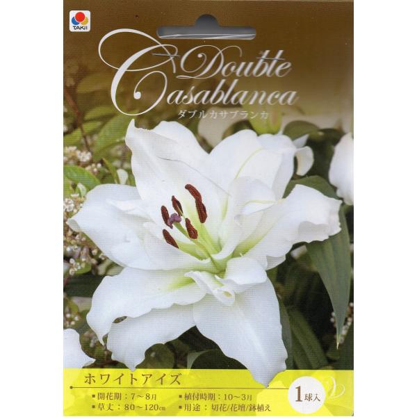 ユリ tanenonozaki_f0417920