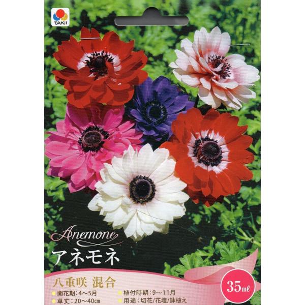 球根 アネモネの人気商品 通販 価格比較 価格 Com