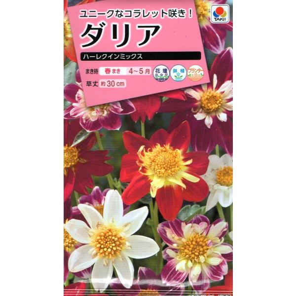 ダリア 種 種の人気商品 通販 価格比較 価格 Com