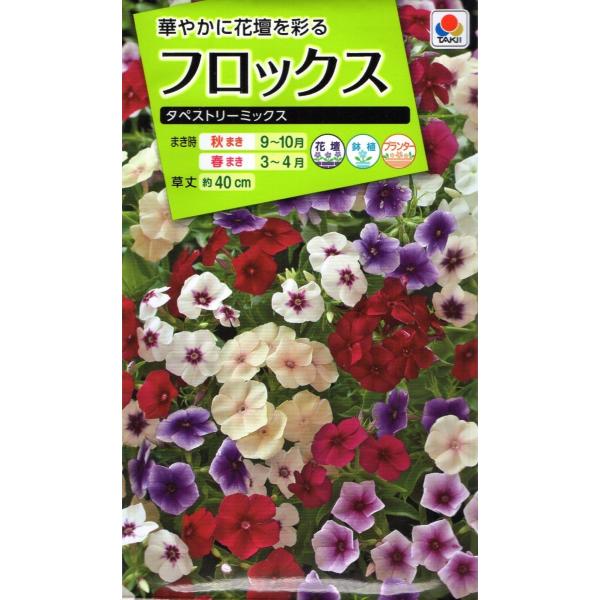 フロックス 花 みんな探してる人気モノ フロックス 花