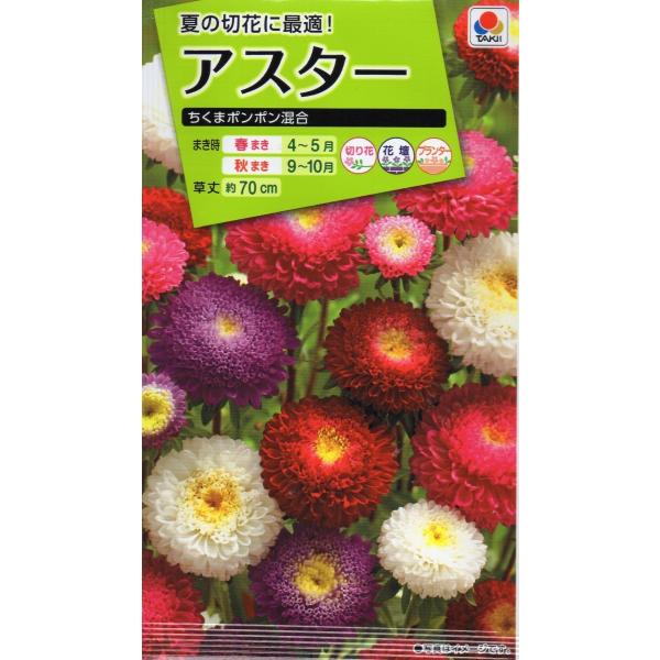 ポンポン 花 種の人気商品 通販 価格比較 価格 Com