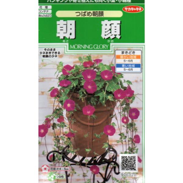 小袋1ml入り。1袋でおよそ12本の苗が育ちます。花径4〜5cmの極小輪タイプ。あまりつる伸びしないのであんどん仕立てやハンギングにできます。※郵便でのお届けになります。※タネの郵便（第４種便）は運賃が税込￥73〜602円の範囲内です。※１...